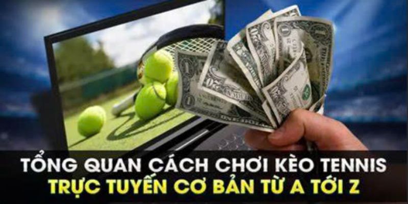 SAOWIN cung cấp tỷ lệ kèo chính xác