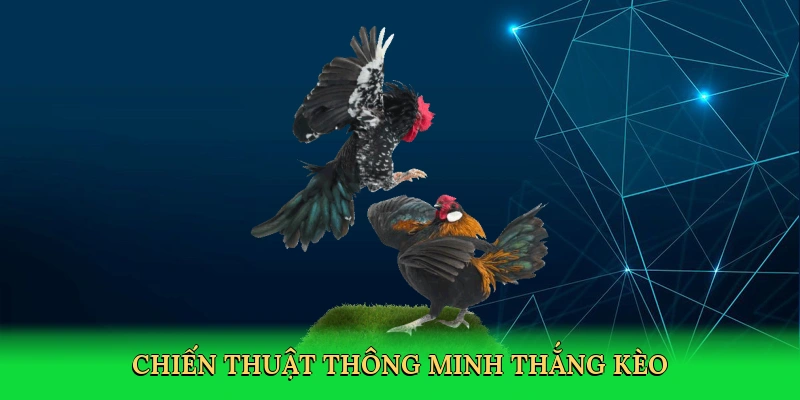 chien-thuat-thong-minh-thang-keo-4