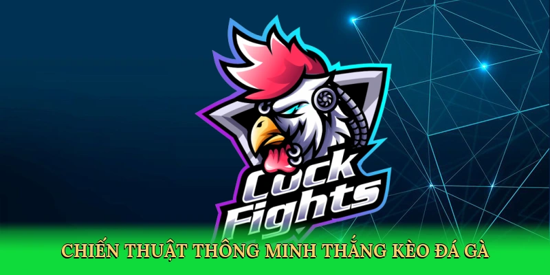 chien-thuat-thong-minh-thang-keo-da-ga-4