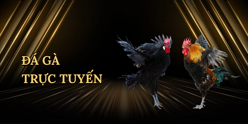 da-ga-truc-tuyen-1
