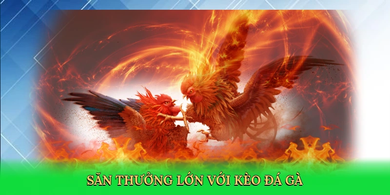 san-thuong-lon-voi-keo-da-ga-3