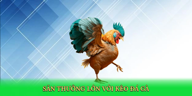 san-thuong-lon-voi-keo-da-ga-3
