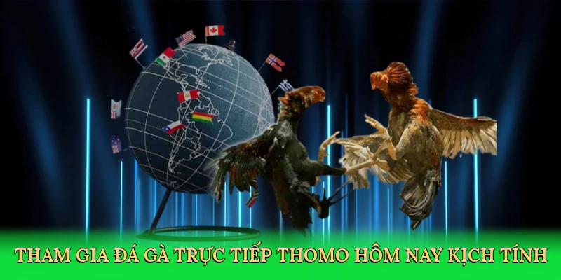 tham-gia-da-ga-truc-tiep-thomo-hom-nay-kich-tinh-2