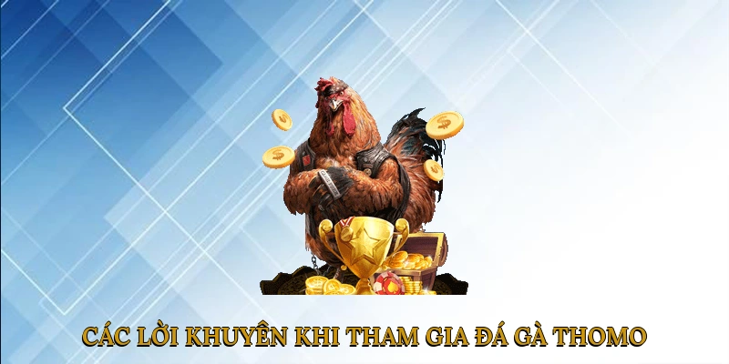 Các Lời Khuyên Khi Tham Gia Đá Gà Thomo Campuchia