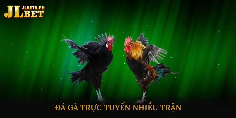 Đá gà trực tuyến nhiều trận