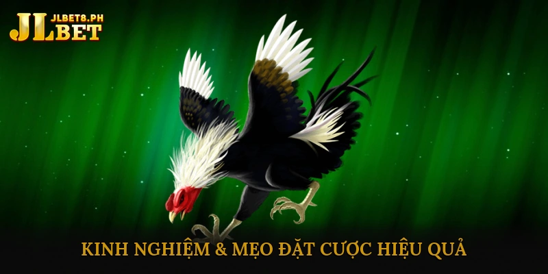 Kinh Nghiệm & Mẹo Đặt Cược Hiệu Quả