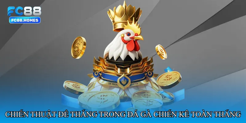 Chiến thuật hiệu quả để thắng trong Đá gà chiến kê toàn thắng