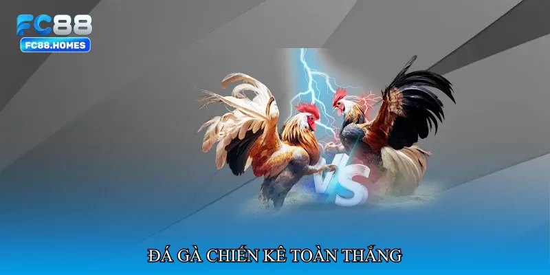 Đá gà chiến kê toàn thắng