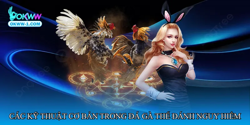 Các kỹ thuật cơ bản trong Đá gà thế đánh nguy hiểm