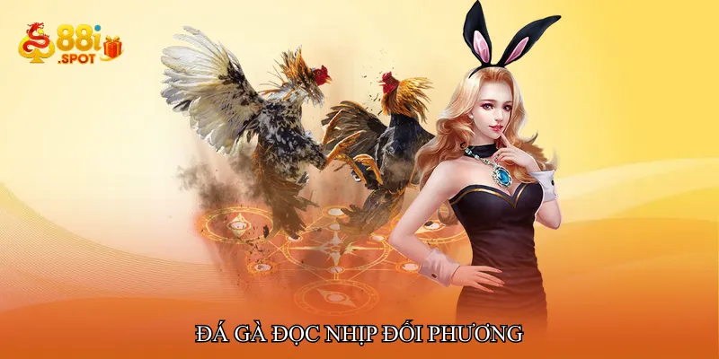 Đá gà đọc nhịp đối phương