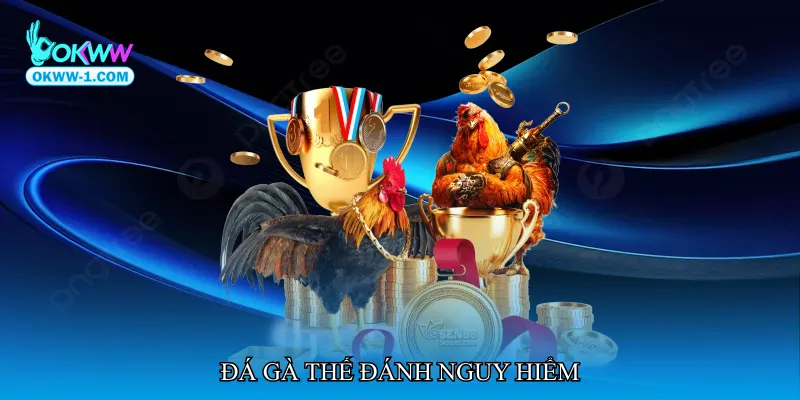 Đá gà thế đánh nguy hiểm