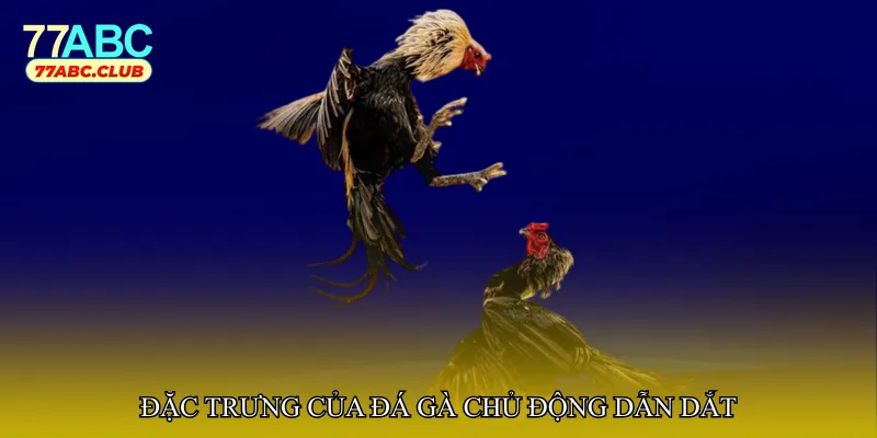 Đặc trưng của đá gà chủ động dẫn dắt