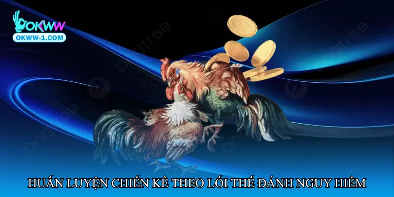 Huấn luyện chiến kê theo lối thế đánh nguy hiểm