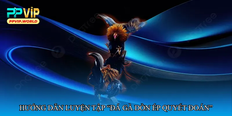 Hướng dẫn luyện tập “Đá gà dồn ép quyết đoán”