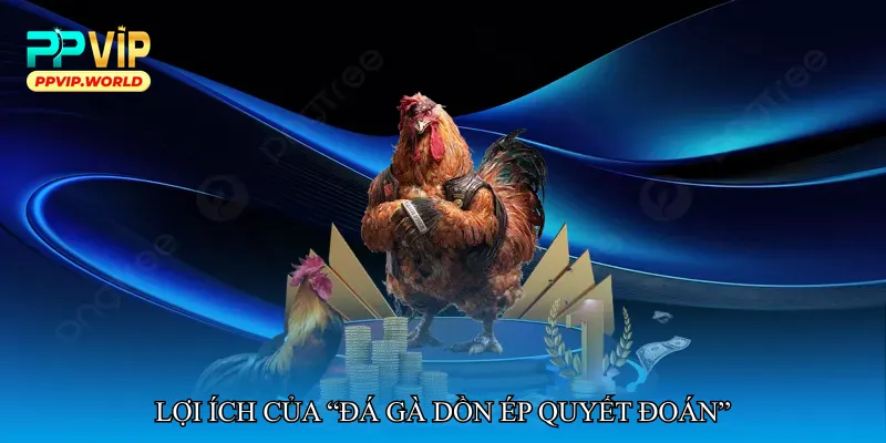 Lợi ích của “Đá gà dồn ép quyết đoán”