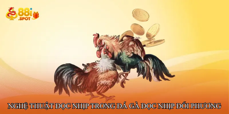 Nghệ thuật đọc nhịp trong Đá gà đọc nhịp đối phương