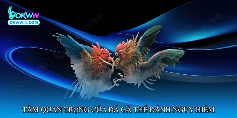 Tầm quan trọng của Đá gà thế đánh nguy hiểm