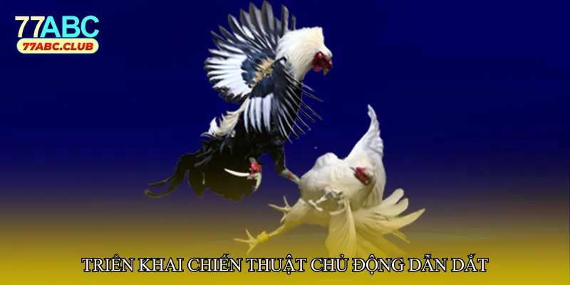 Triển khai chiến thuật chủ động dẫn dắt